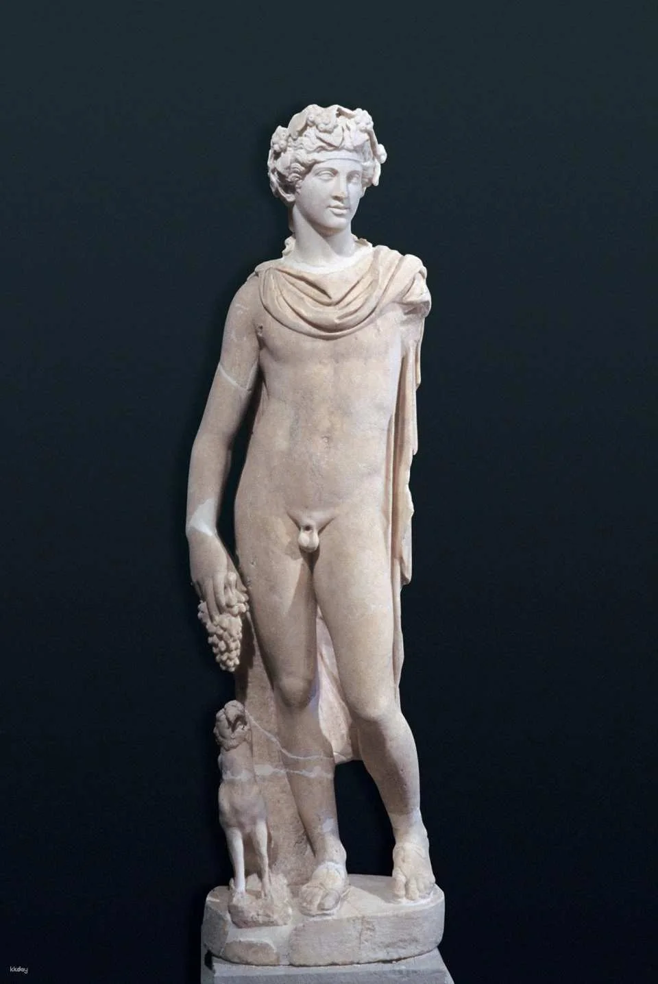 ROME: Empire, Power, People｜Melbourne Museum