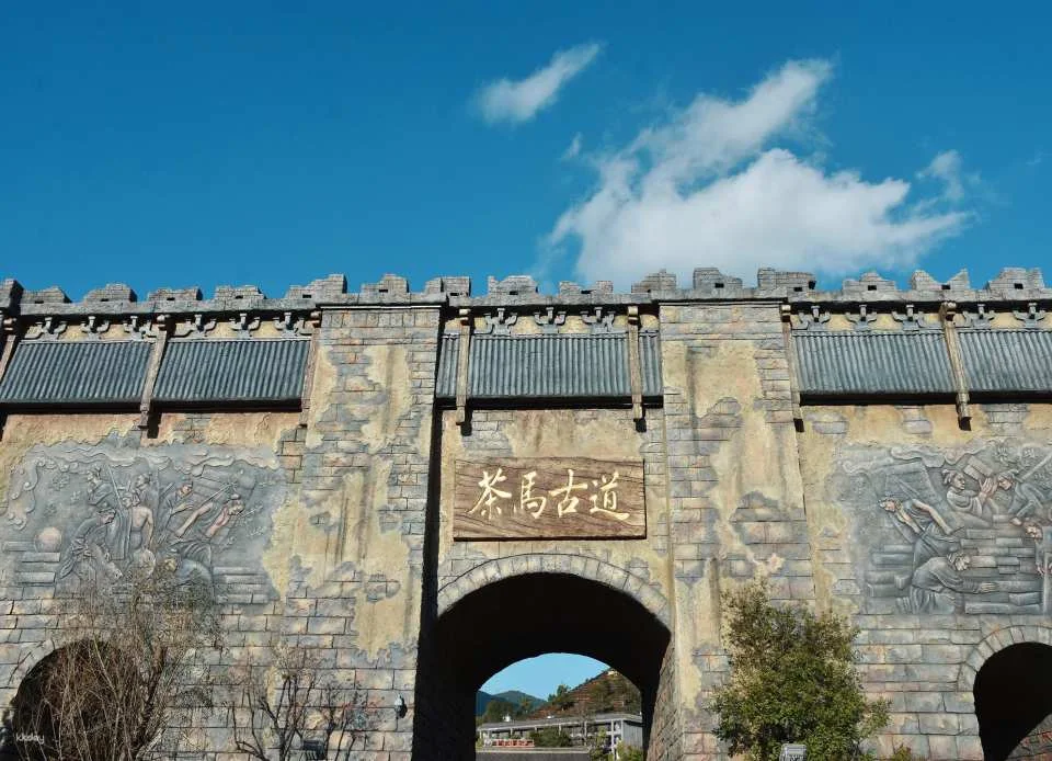 Pu'er, Yunnan | Pu'er Ancient Tea Horse Road Relics Park | Dingbo Lake Leisure Tour