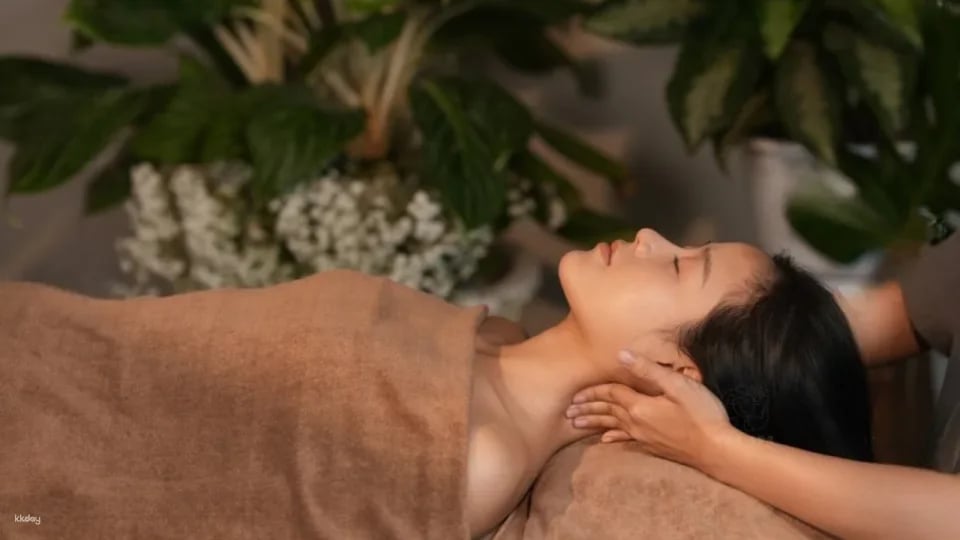 Hanoi Chill: Coffee & Spa | Relax Tour With Traditional Hair Massage| Departure from Viet Nam