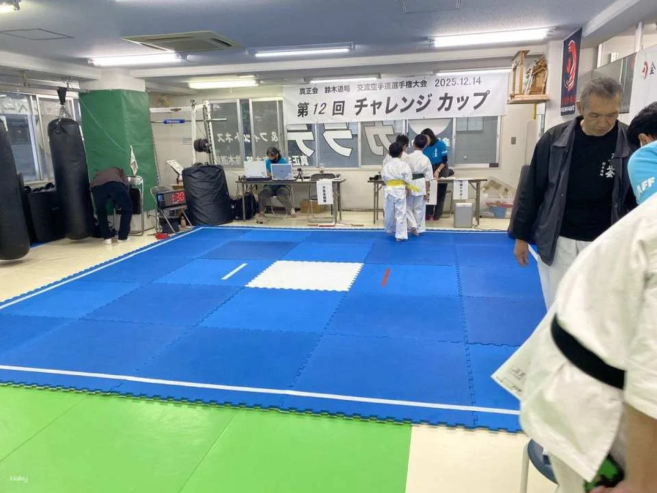 Sumo experience in Takadanobaba, Tokyo (45 minutes, beginner-friendly)