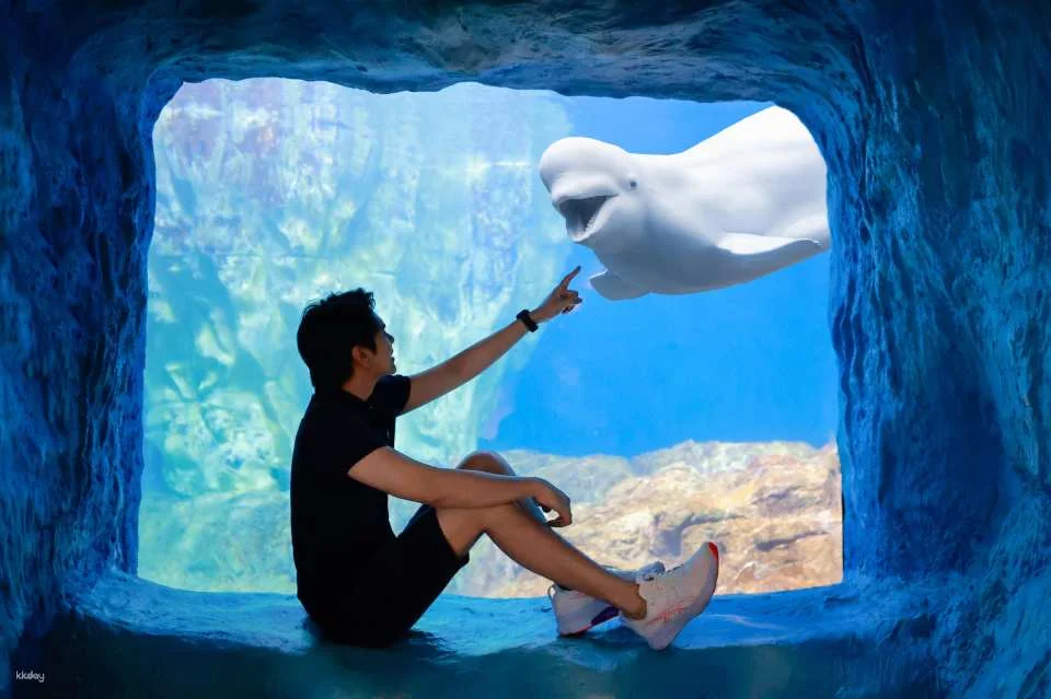 Zhuhai Chimelong travel photography + private car transfer package