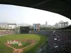 [SEOUL] Korean Baseball Game and K-BBQ with Local Guys