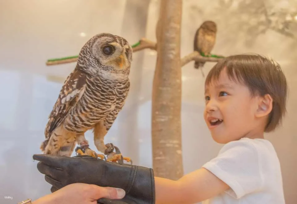 Fukuoka & Chiba, Japan | AnimalCafé MOFF - Tickets + Drinks (577147)