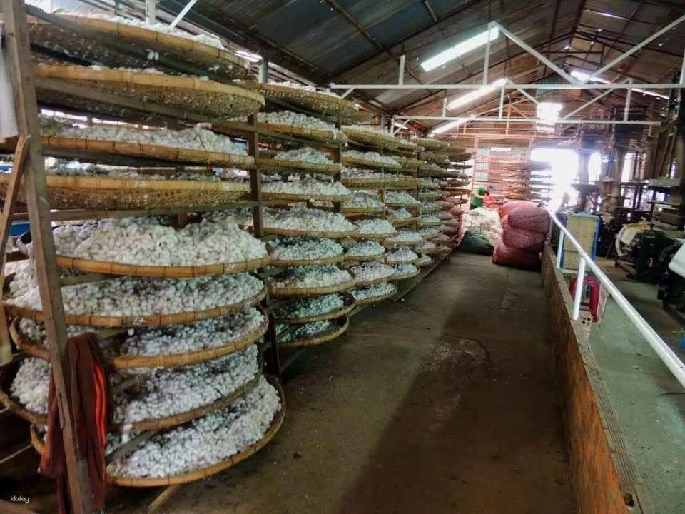 Da Lat: Heritage & Nature Tour – Culture, Architecture & History