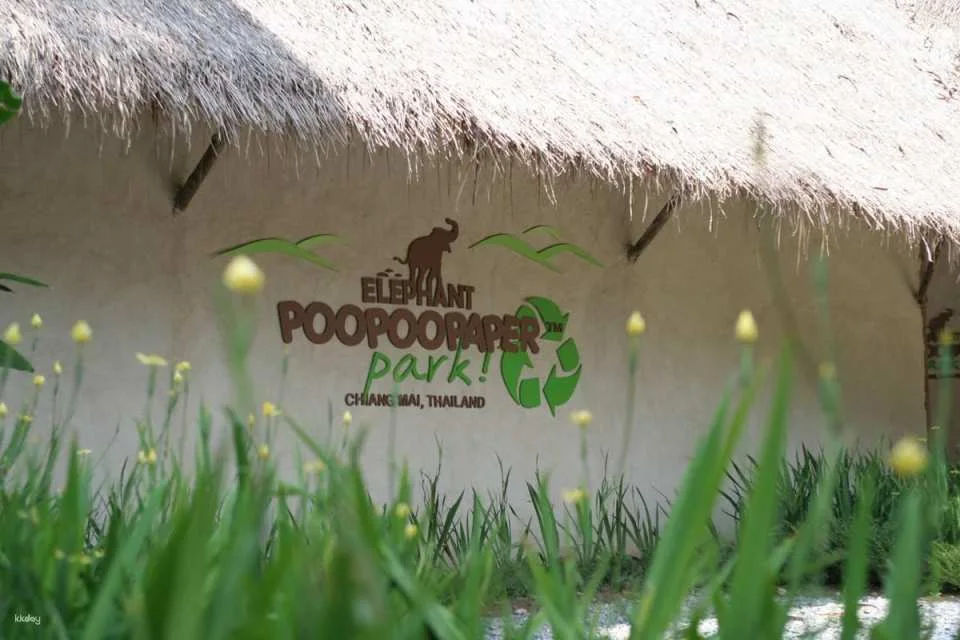 Elephant Poopoopaper Park: Paper Making Workshop | Chiang Mai (578397)