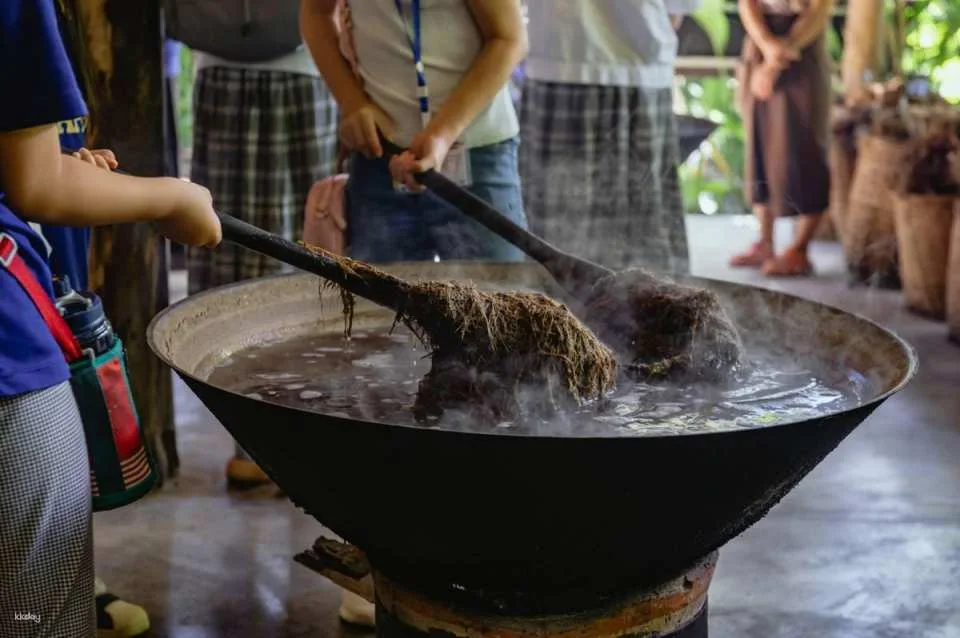 Elephant Poopoopaper Park: Paper Making Workshop | Chiang Mai