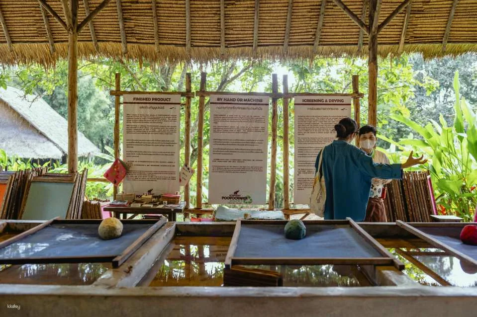 Elephant Poopoopaper Park: Paper Making Workshop | Chiang Mai