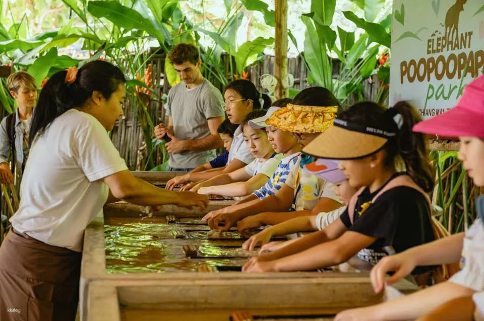 Elephant Poopoopaper Park: Paper Making Workshop | Chiang Mai