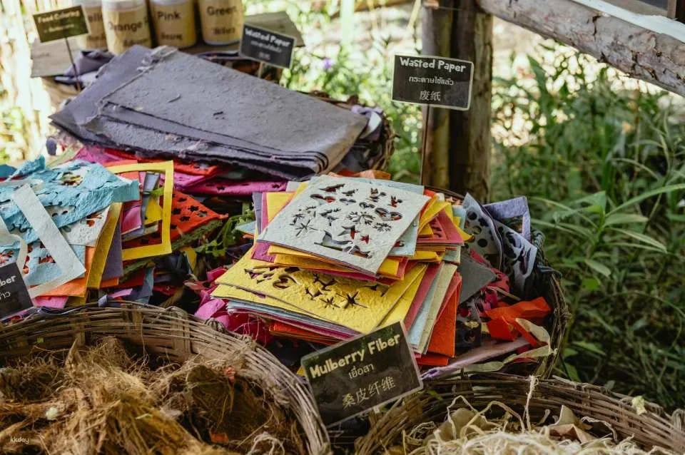 Elephant Poopoopaper Park: Paper Making Workshop | Chiang Mai