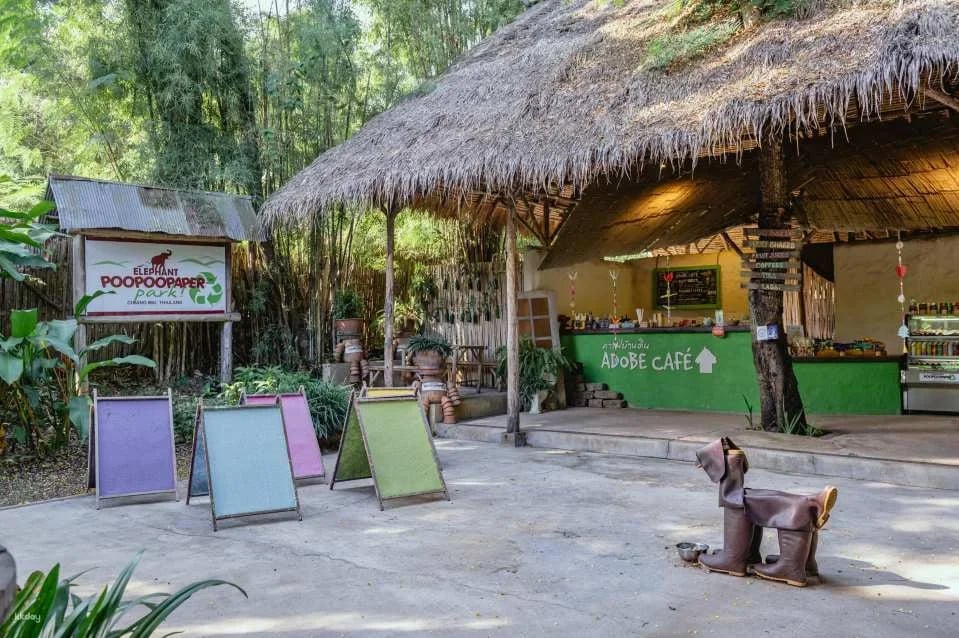 Elephant Poopoopaper Park: Paper Making Workshop | Chiang Mai