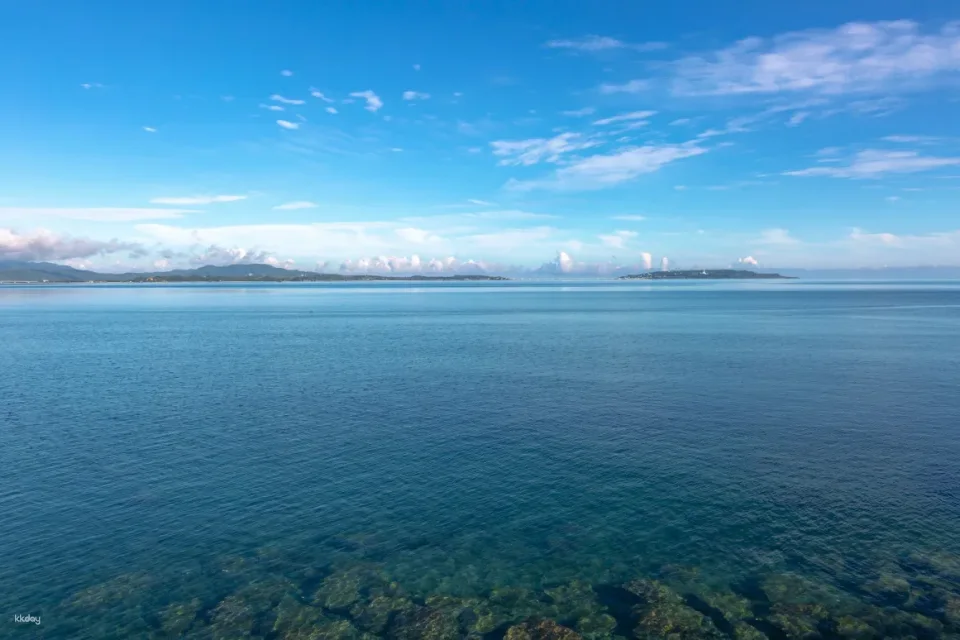 Okinawa Asumui Rock Hiking Experience | Ryukyu Mythical Forest Tour
