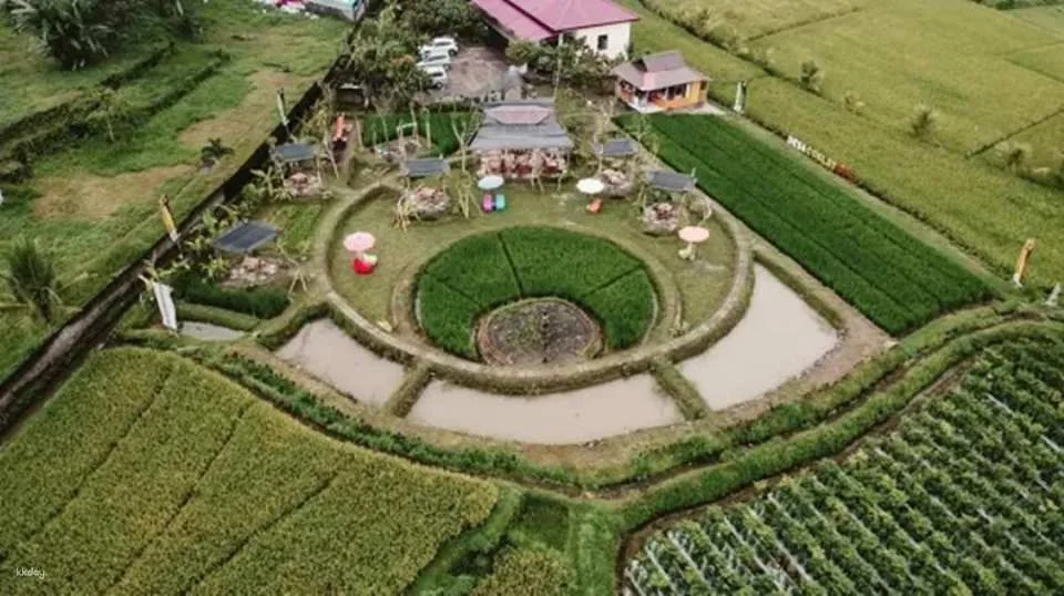 Bali Chocolate Factory Tour | Hands-On Chocolate Making Experience at Bali Chocolate Village | Departure from Bali