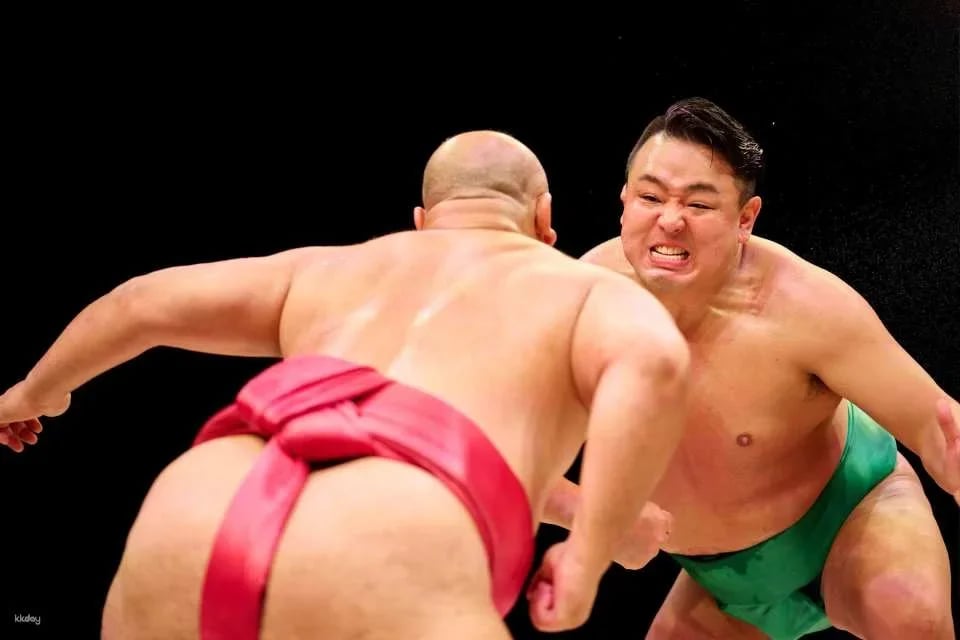 Tokyo Ginza Hirakuza Sumo Restaurant SUMO Show | Seat Ticket + Kaiseki Meal