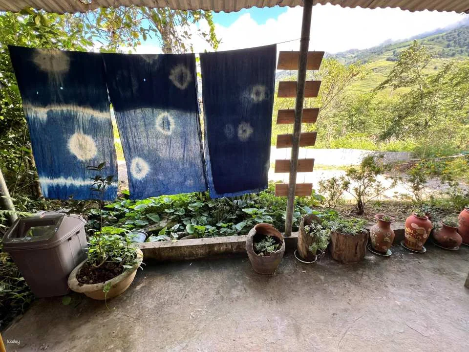 Indigo Dyeing Workshop tại Ta Van Village