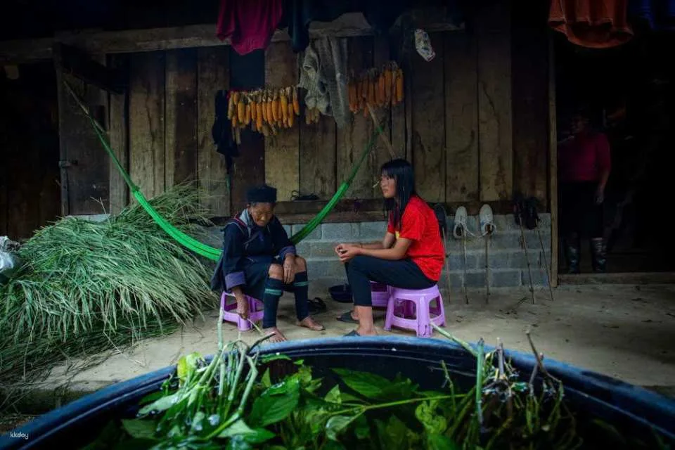 Indigo Dyeing Workshop tại Ta Van Village