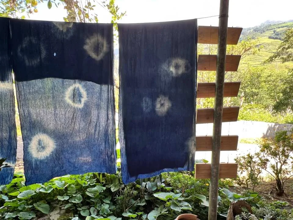 Indigo Dyeing Workshop tại Ta Van Village