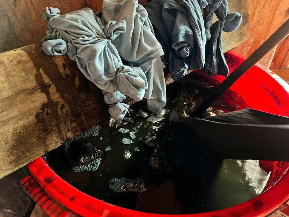 Indigo Dyeing Workshop tại Ta Van Village