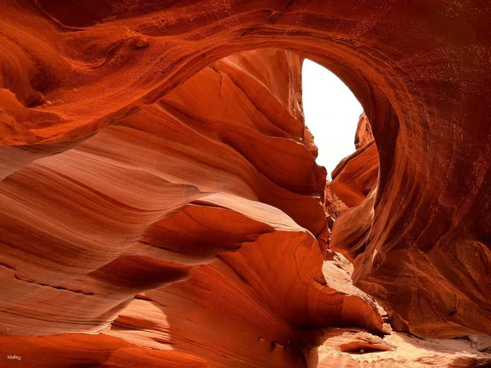 1 night stay Navajo Tribe Experience - Hiking, Stargazing I Page, Arizona I United States