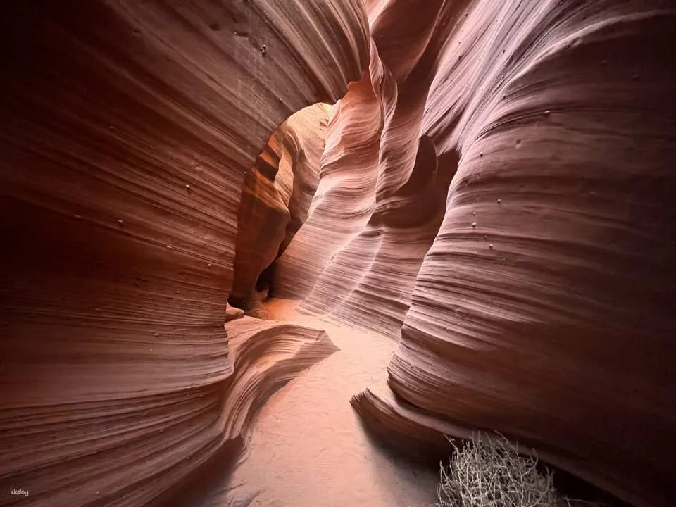 1 night stay Navajo Tribe Experience - Hiking, Stargazing I Page, Arizona I United States