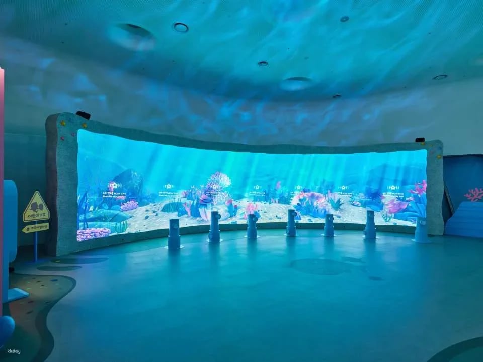 Baby Shark The Experience: Unlock the Secret Ocean