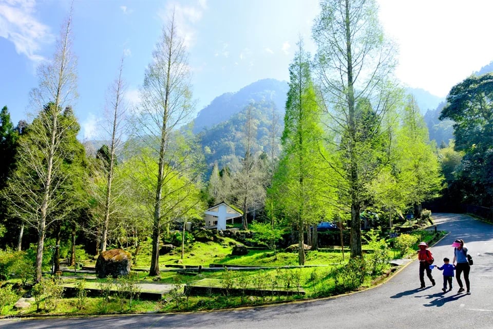 Nantou Bamboo and Deer Tour Package