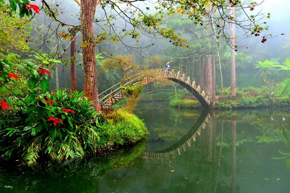 Nantou Bamboo and Deer Tour Package
