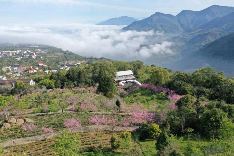 Nantou Bamboo and Deer Tour Package