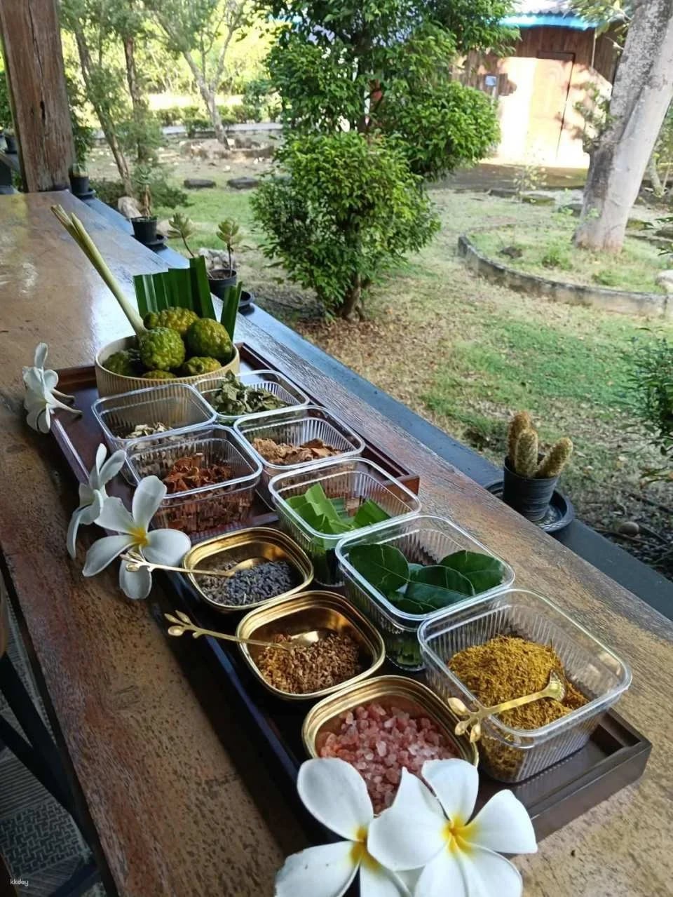 The 9 wellness Chiang Mai | Thailand