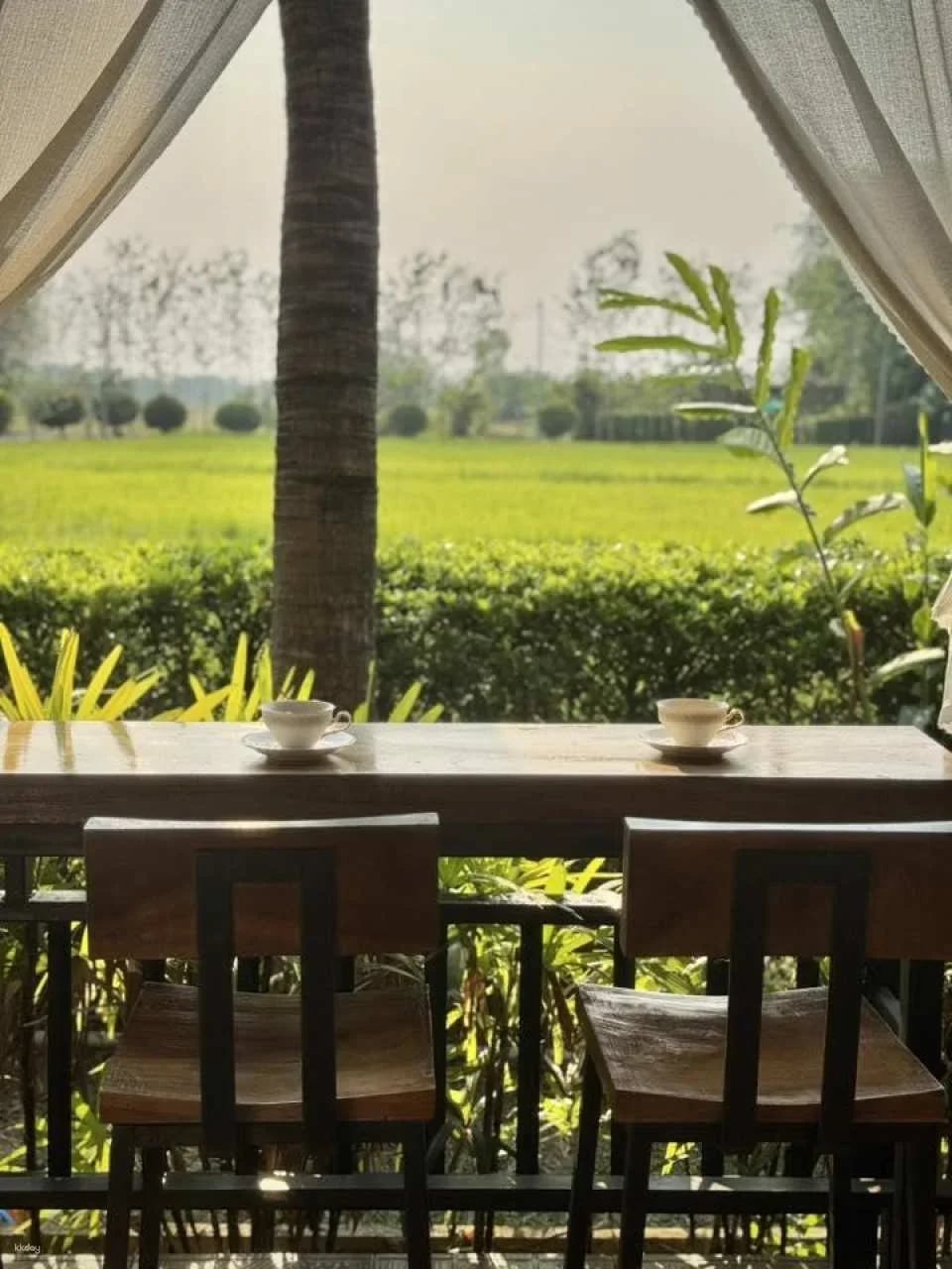 The 9 wellness Chiang Mai | Thailand