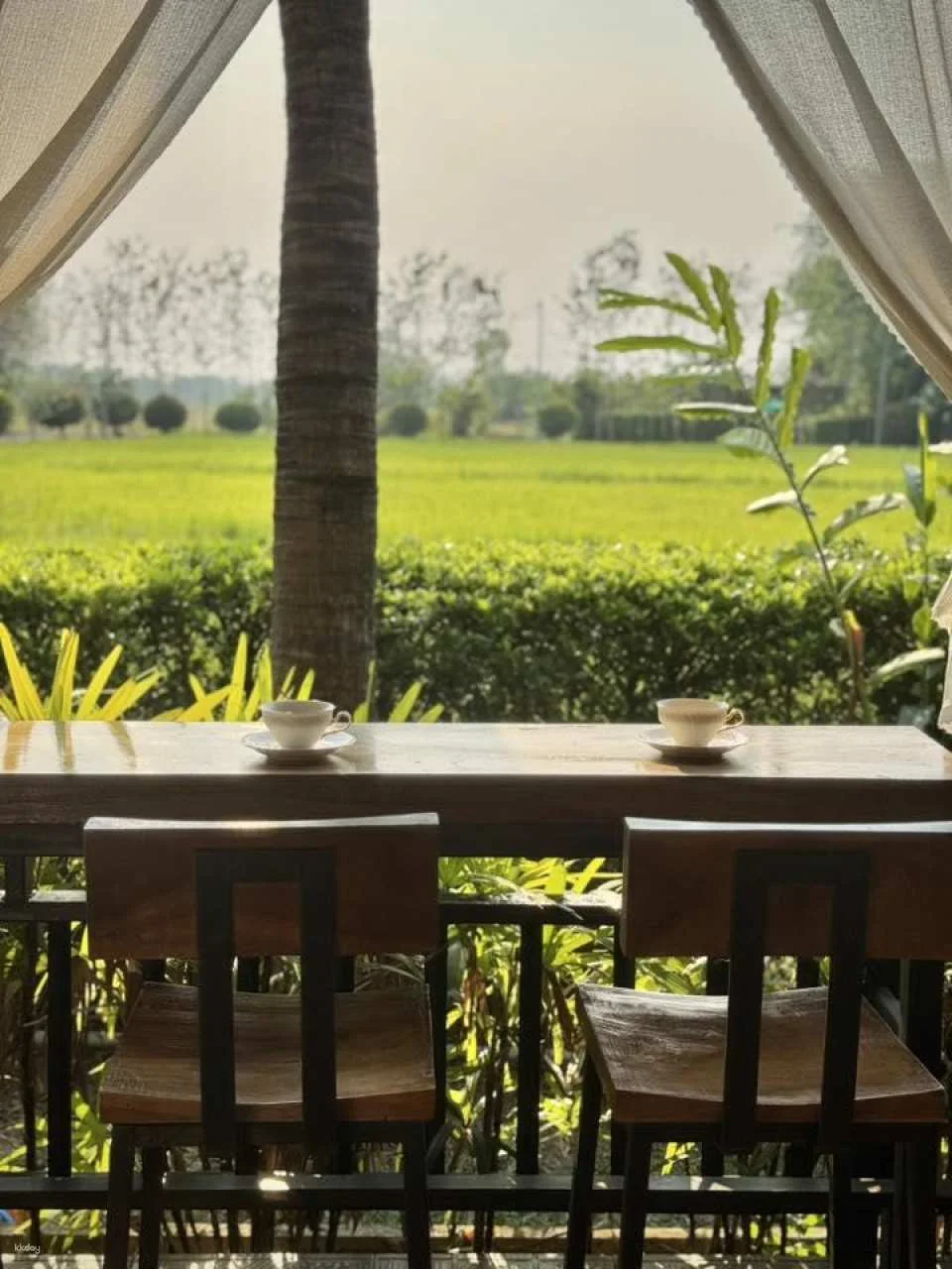 The 9 wellness Chiang Mai | Thailand