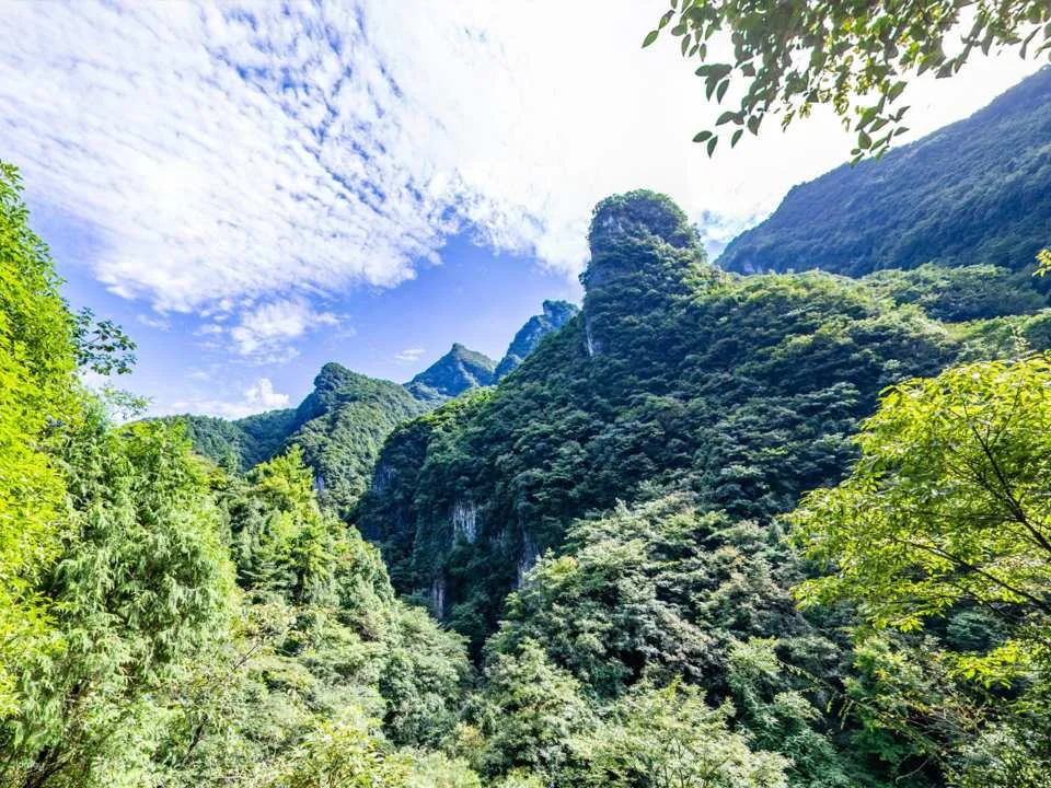 Small Group Study Tour | Baiheliang Underwater Museum + Unlock the 816 Nuclear Power Project + Wuling Mountain | Includes guided tour + 2-8 person group all-inclusive one-day tour