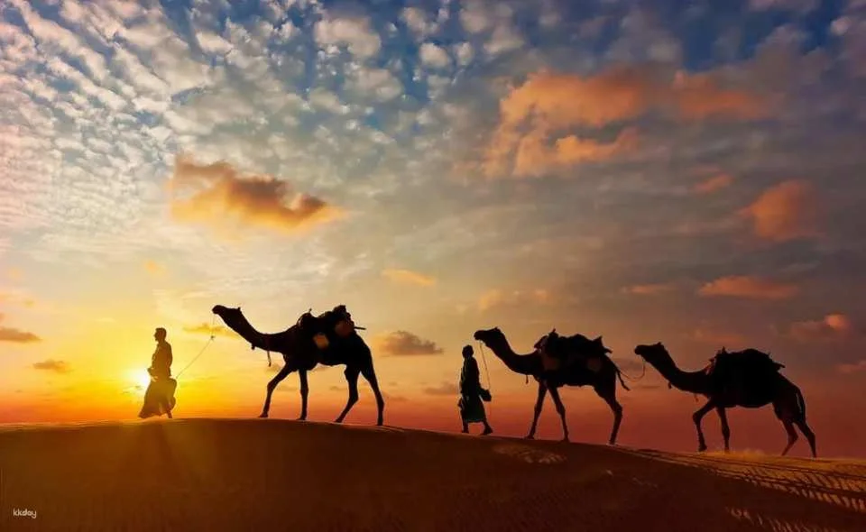 8-Day Golden Triangle Tour with Jodhpur and Osian Desert Experience