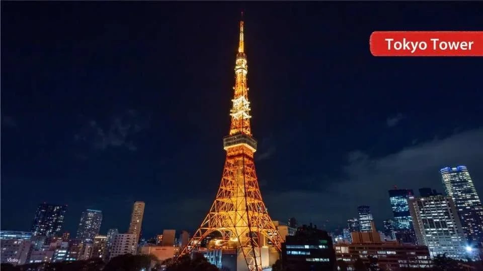 Japan | THE TOKYO PASS SELECT - A Selection of Popular Tokyo Attractions