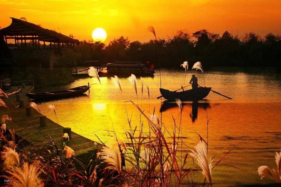 Explore Xixi National Wetland | A High-Quality Nature Travel Experience Away from Crowds