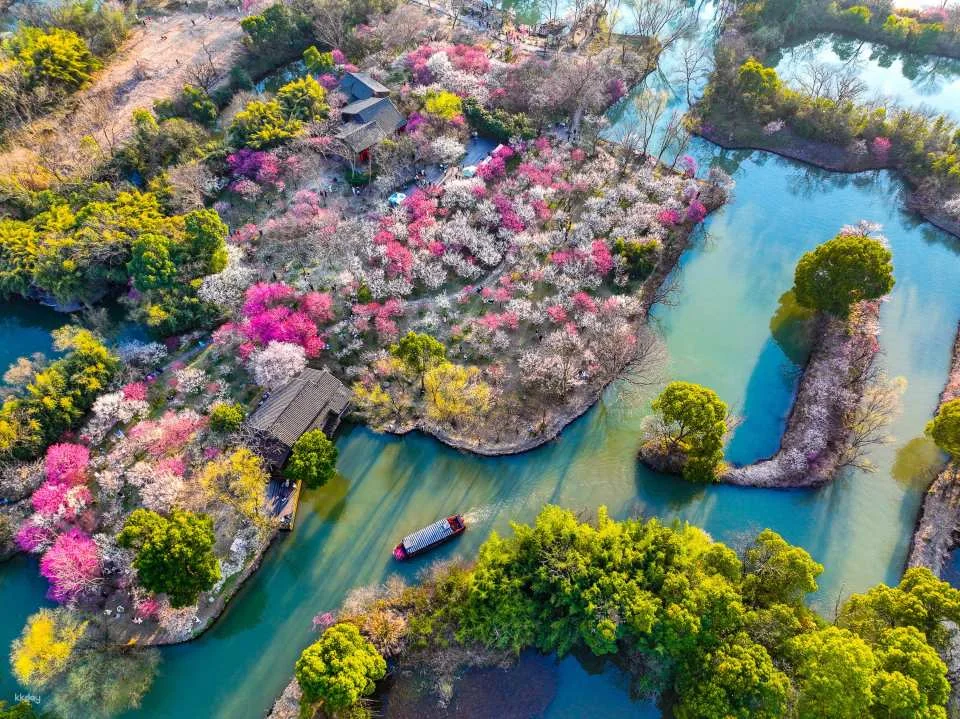Explore Xixi National Wetland | A High-Quality Nature Travel Experience Away from Crowds