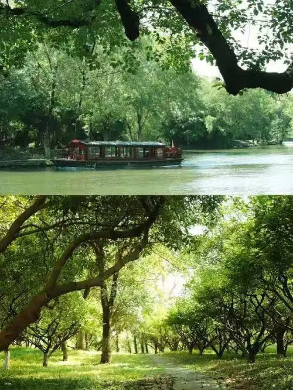 Explore Xixi National Wetland | A High-Quality Nature Travel Experience Away from Crowds
