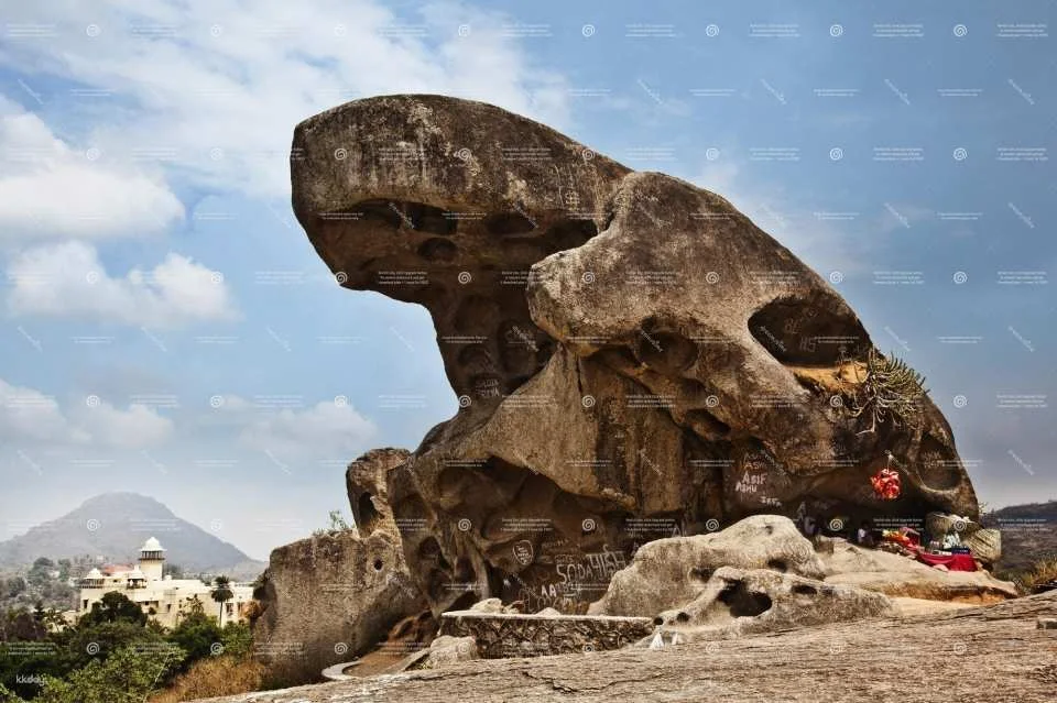 6-Day Mount Abu and Udaipur Tour (589280)