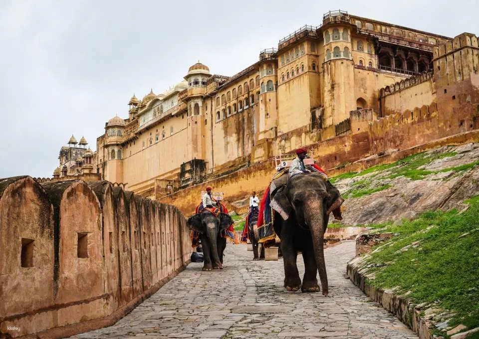 Private 7-Day Rajasthan Cultural Tour with Udaipur Lakes, Pushkar and Jaipur Sightseeing (589291)