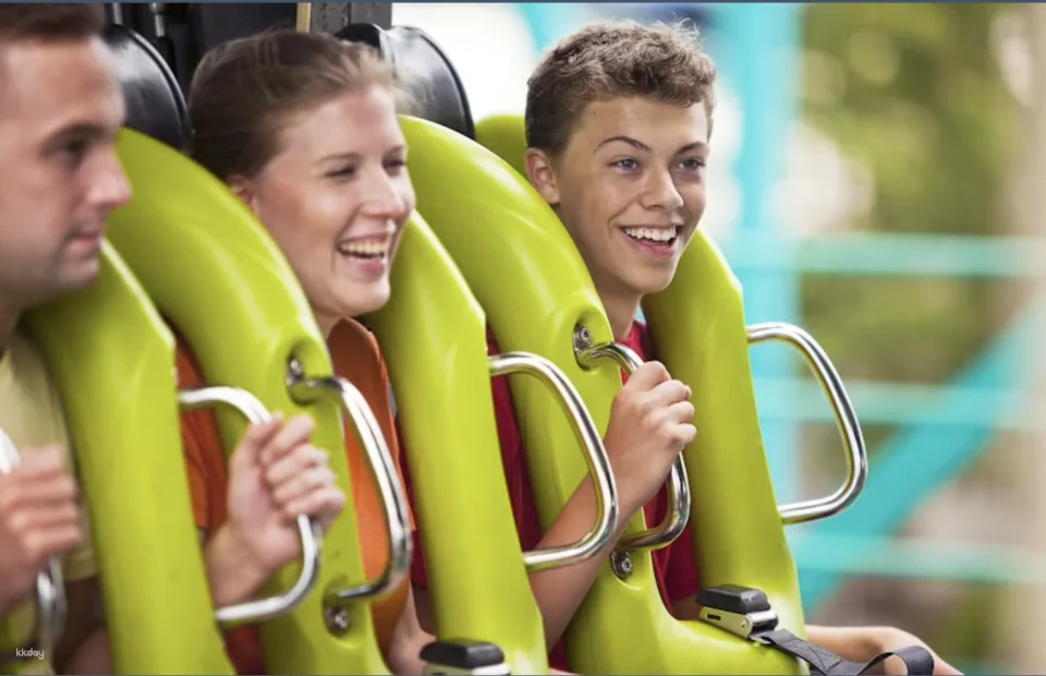 Cedar Point One Day Ticket