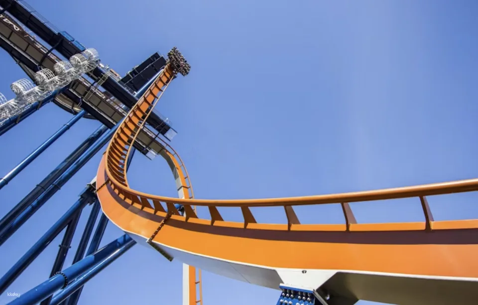 Cedar Point One Day Ticket