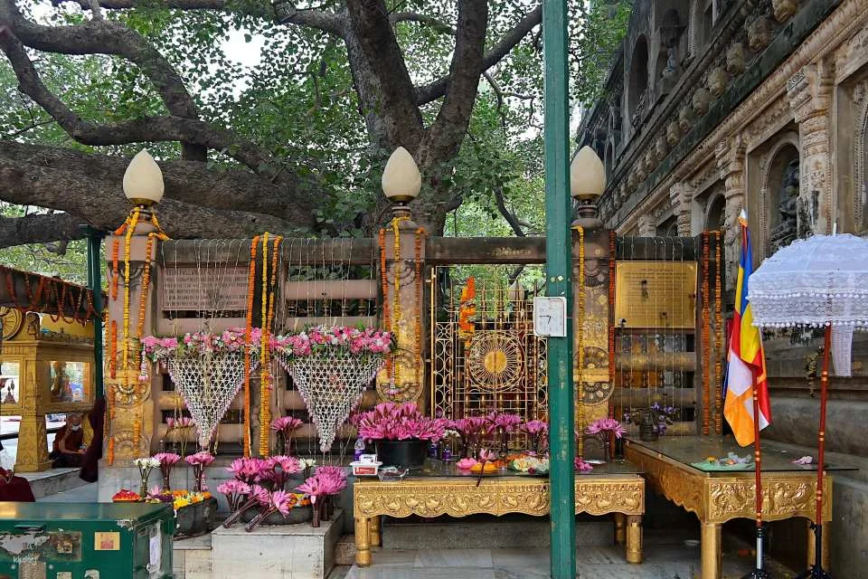 2 - Days Varanasi To Bodhgaya Tour : In The Footsteps of the Buddha.