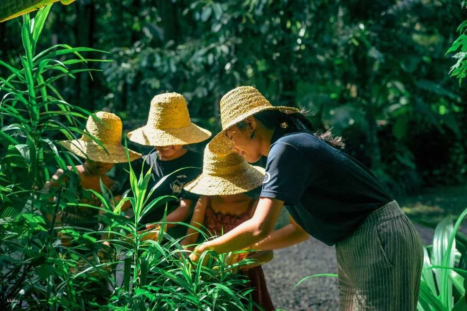Kaura Bali: Family Nature Adventure, Lunch & Dye Workshop with Private Transfer in Manggis | Indonesia