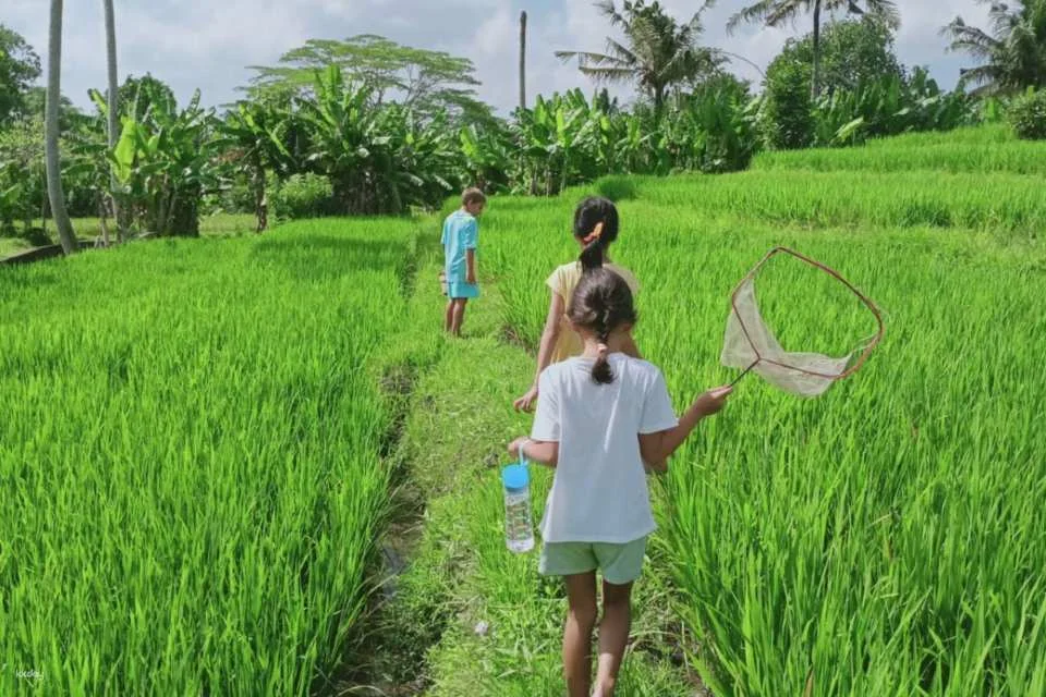 Kaura Bali: Family Nature Adventure, Lunch & Dye Workshop with Private Transfer in Manggis | Indonesia