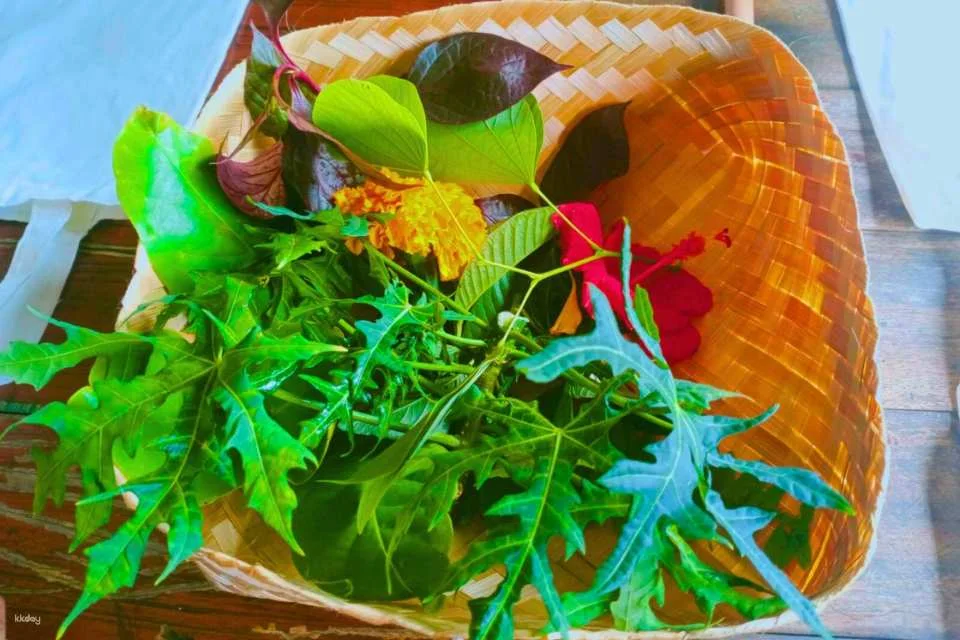Kaura Bali: Family Nature Adventure, Lunch & Dye Workshop with Private Transfer in Manggis | Indonesia