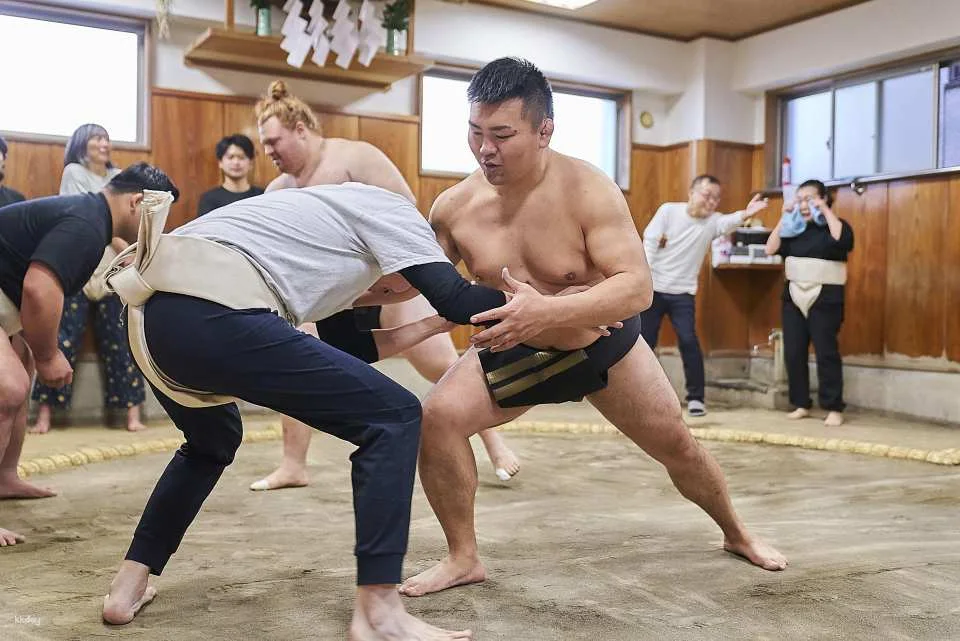 [Tokyo Sumo Experience] Real Dohyo Training at Asahi Fuji Sumo Dojo & Sumo Hot Pot Set