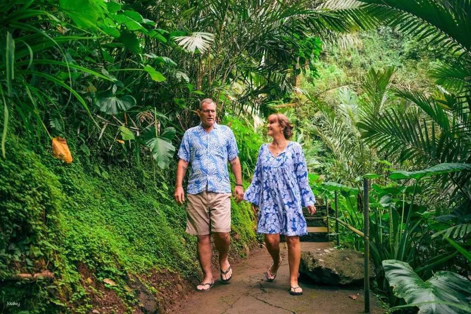 Kaura Bali: Kaura Wellness Program with Private Transfer and Choose Optional Activity with Private Transfer in Manggis | Indonesia