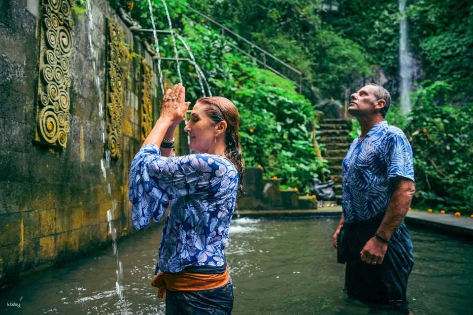 Kaura Bali: Kaura Wellness Program with Private Transfer and Choose Optional Activity with Private Transfer in Manggis | Indonesia