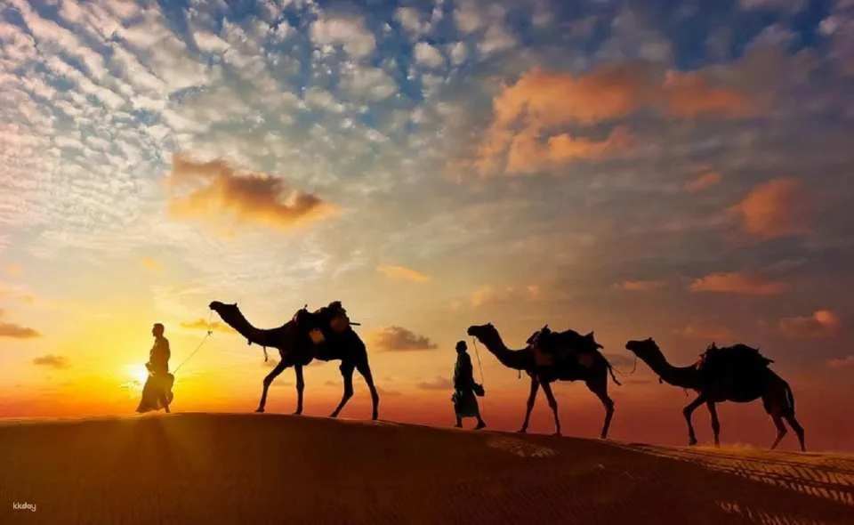 Private 4-Day Jaisalmer City, Desert & Border Tour. (596143)