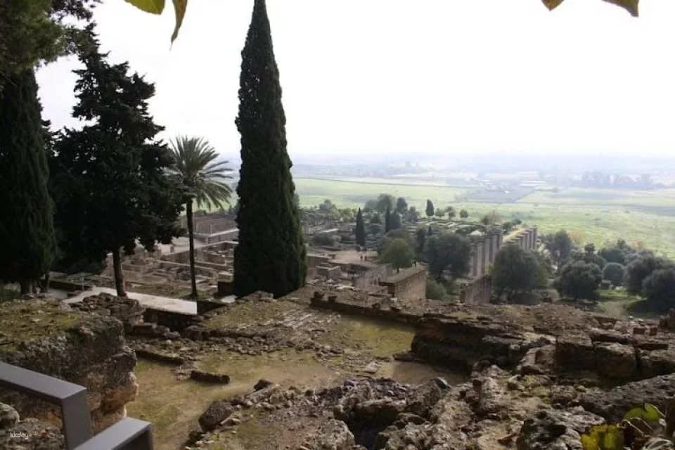 Guided tour of the Medina Azahara