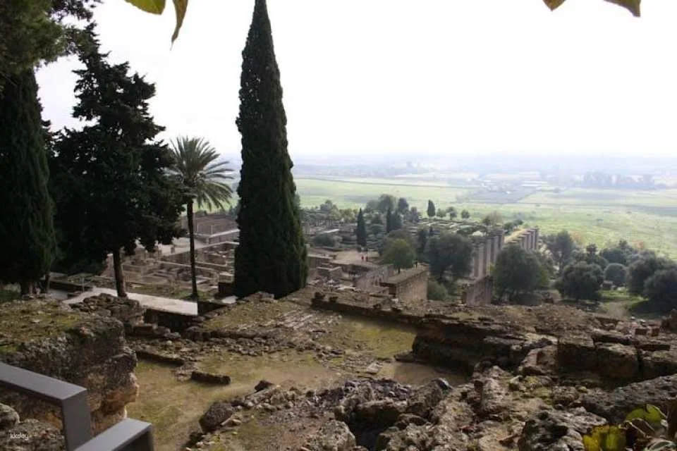 Guided tour of the Medina Azahara